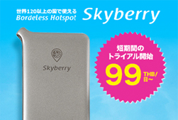 Skyberryレンタル優待