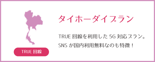 バンコクTRUE5Gタイホーダイ